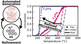 Abstract of Detailed Microkinetics for the Oxidation of Exhaust Gas Emissions through Automated Mechanism Generation publication